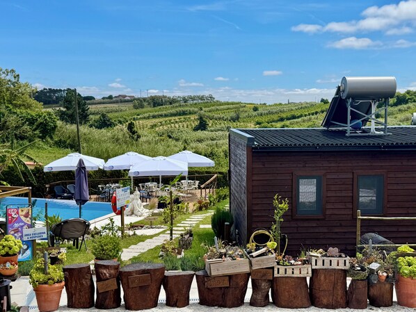 独特开间, 1 张双人床和 1 张沙发床, 花园景观 | 花园景观
