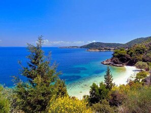 别墅 | 5 多间卧室、高速上网