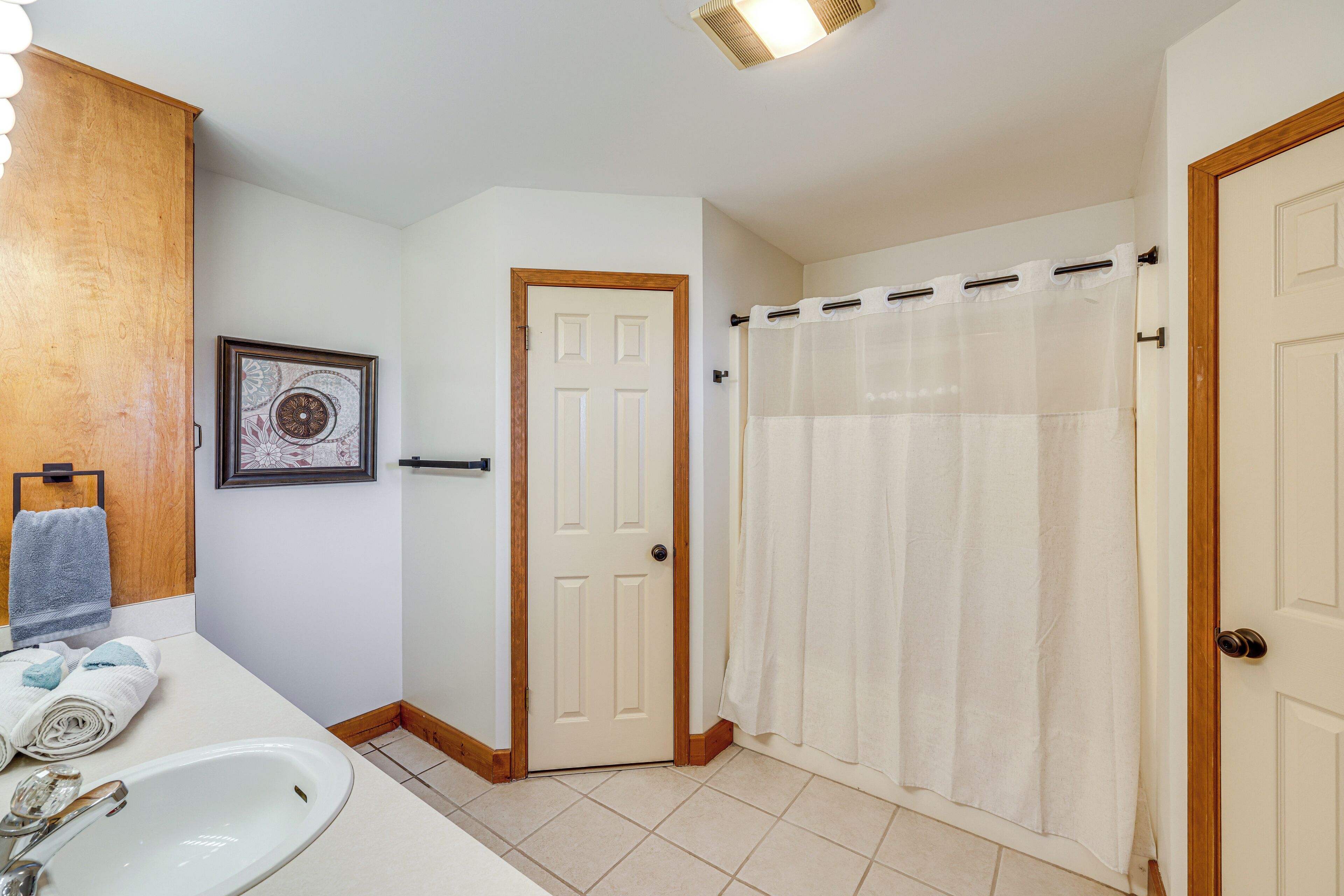 A bathroom with a sink, a framed picture, a door, and a shower curtain.