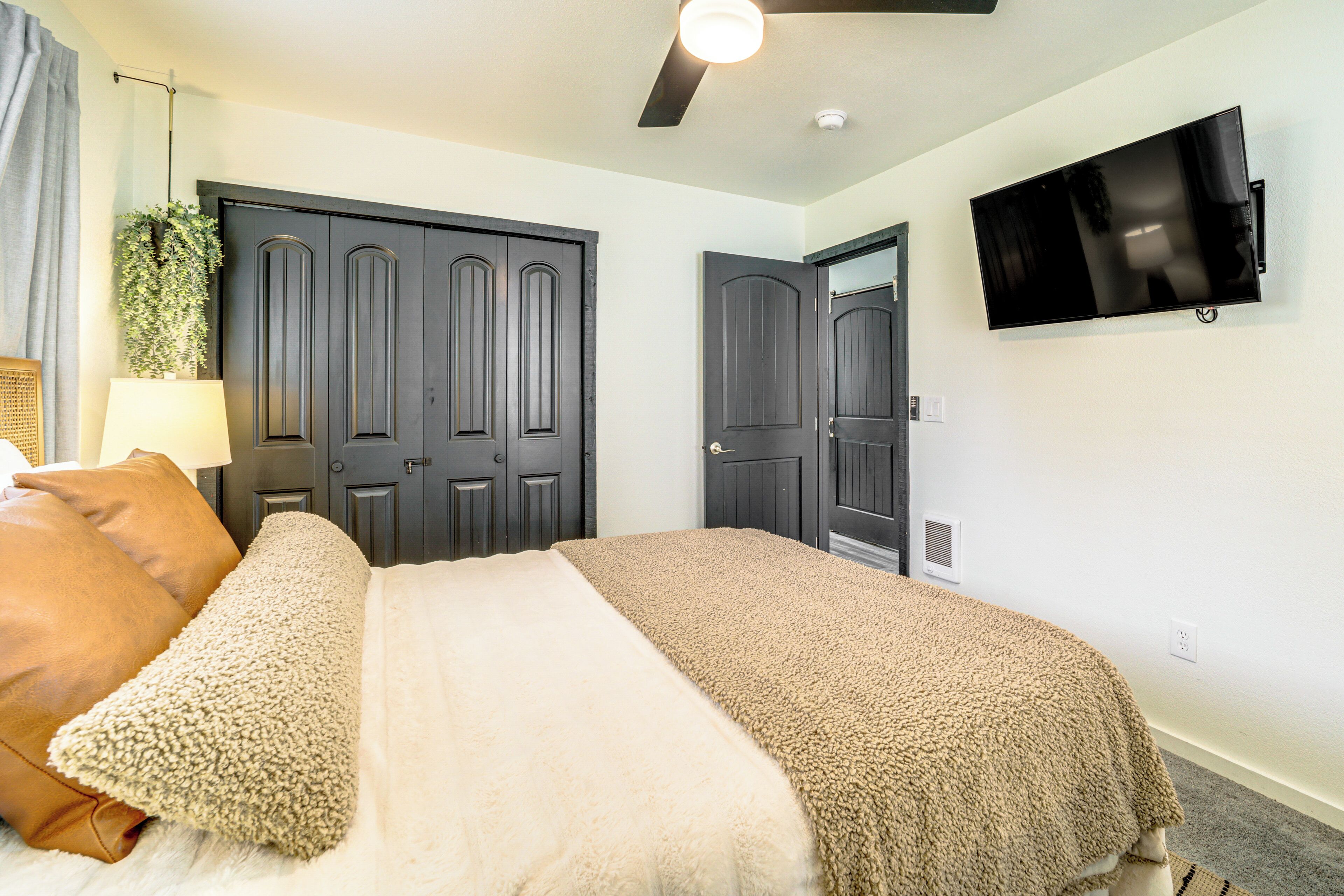 A bedroom with a bed, two doors, a ceiling fan, a TV, and a plant.