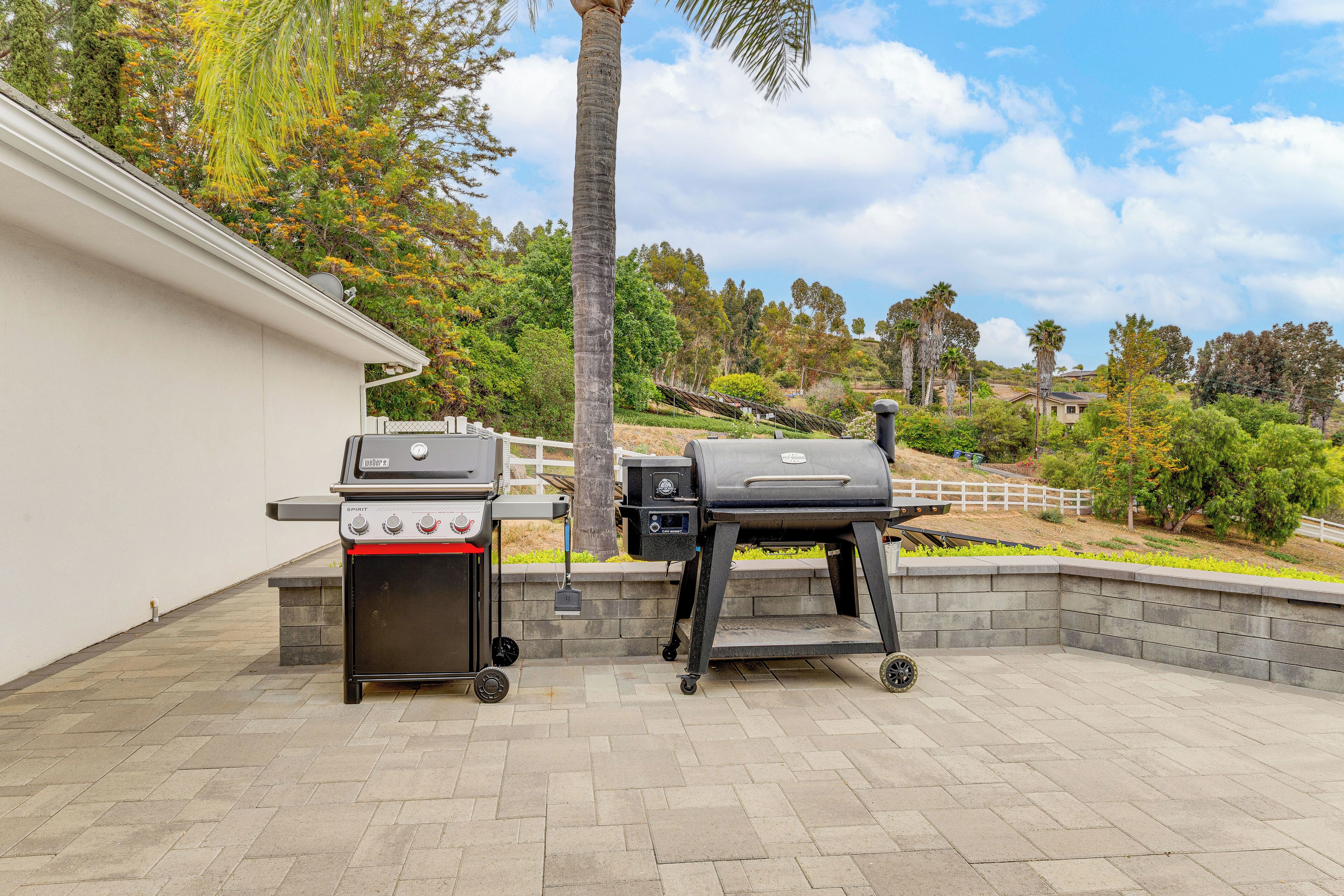 An outdoor patio with two barbecue grills, a palm tree, and a view of a hilly landscape.