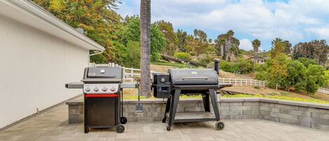 An outdoor patio with two barbecue grills, a palm tree, and a view of a hilly landscape.