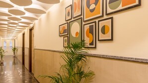 A hallway with a series of framed abstract artworks on the wall, a potted plant, and a polished floor.