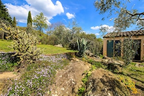 House | 2 bedrooms - Casale Vezzoli con Piscina (Roccastrada)