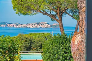 A coastal town with a view of the sea and a large tree in the foreground. - Villa Stefania Isola d Elba (Portoferraio)