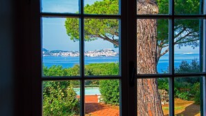 A view through a window with a tree and a distant coastline.