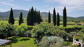 Un jardin avec de grands cyprès, une pelouse et un espace de jeux.