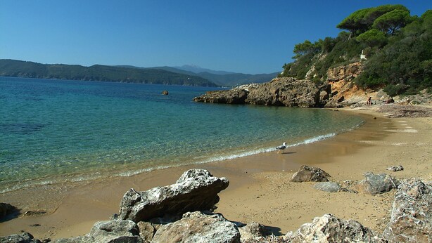 A coastal beach with clear water, rocky shoreline, and a forested hill.