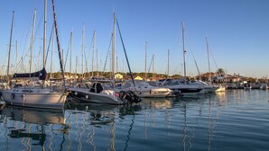 A marina with multiple sailboats docked.