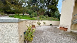 Un pati amb cactus en testos i un edifici petit al fons.
