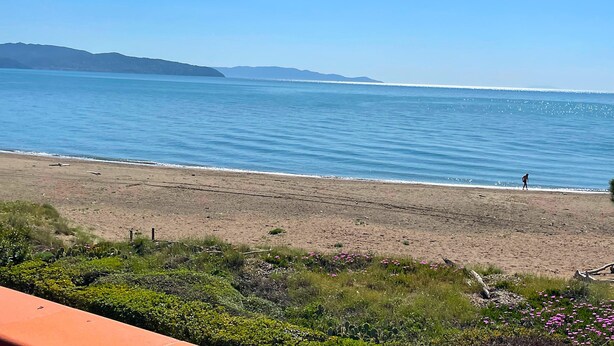 A beach with a person walking, a clear sky, and distant mountains. - Appartamento Germoglio Sulla Spiaggia (Orbetello)