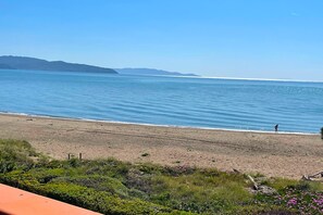 Apartment | 2 bedrooms - Appartamento Germoglio Sulla Spiaggia (Orbetello)