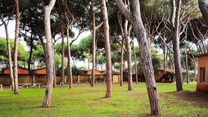 A grassy area with trees and a building in the background. - Appartamento Germoglio Sulla Spiaggia (Orbetello)