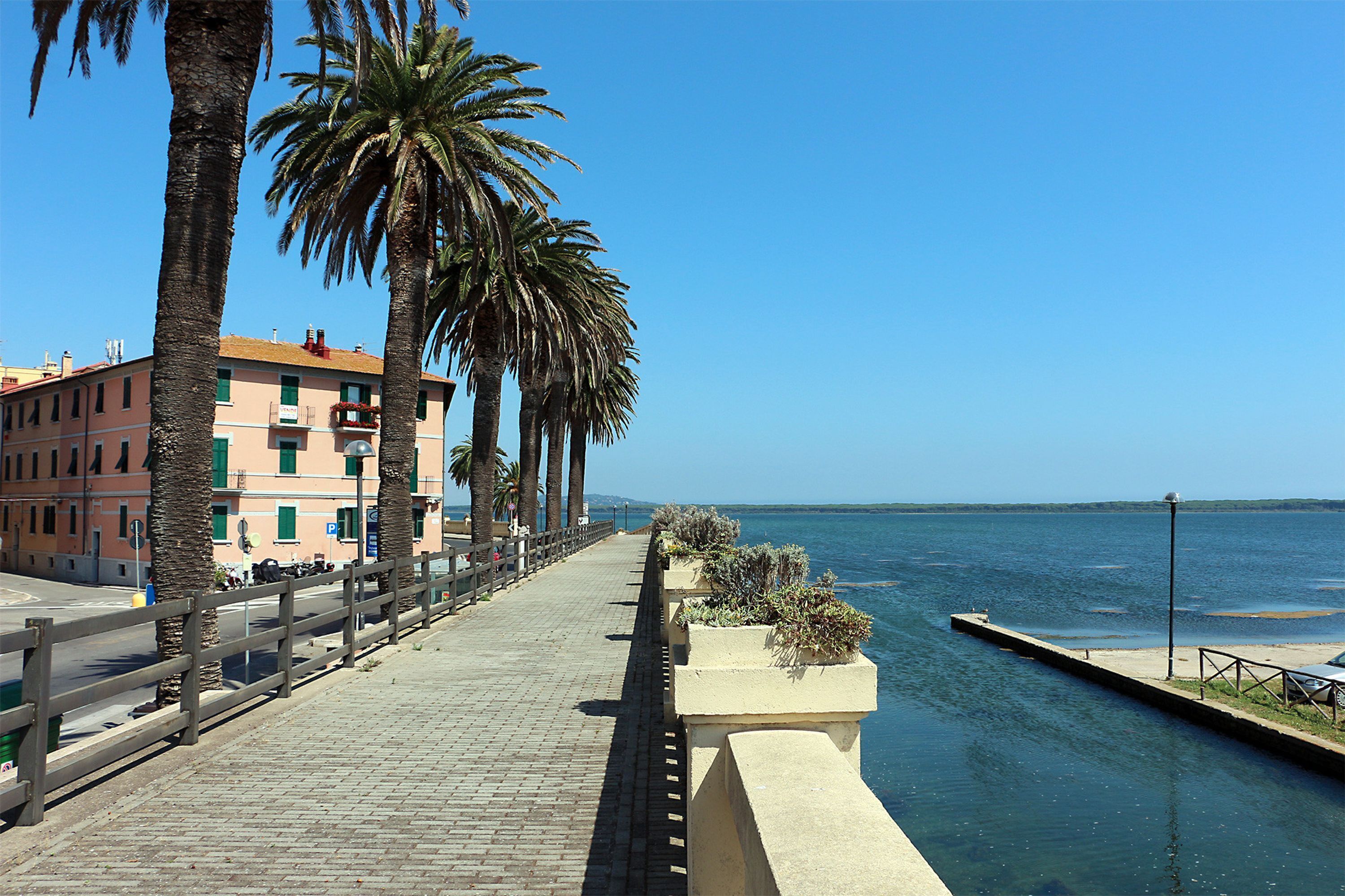 Eine Uferpromenade mit befestigter Fußgängerzone, Palmen und einer Reihe von Gebäuden entlang des Wassers.