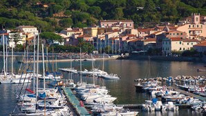 A marina with numerous boats docked, surrounded by buildings with red-tiled roofs and a hillside in the background. - Villa Ondina - Isola d Elba (Marciana Marina)
