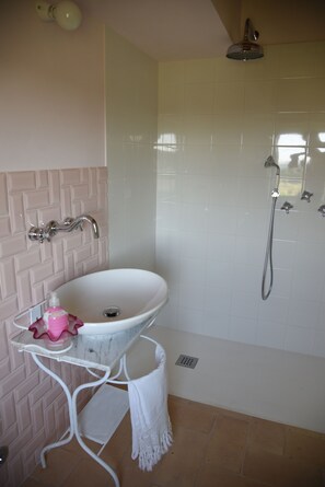 Shower, hair dryer, bidet, towels