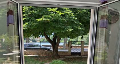 Detached house with garden on the Rhone