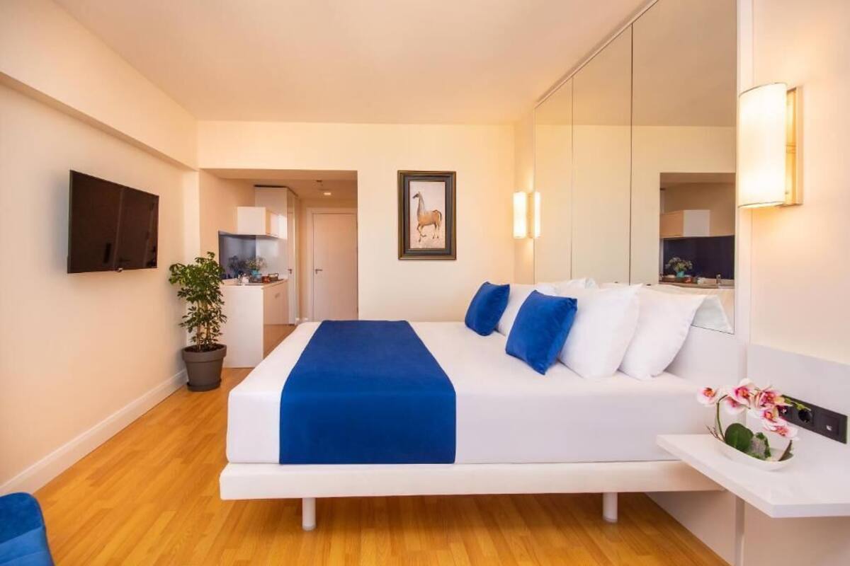 A modern hotel room with a large bed, a flat-screen TV, a potted plant, and a small table with a vase of flowers.