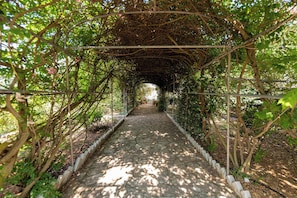 Un sendero de piedra bajo un arco cubierto de hiedra en un jardín.