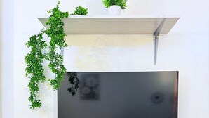 Ein Flachbildfernseher an der Wand befestigt, darüber ein weißes Regal mit einer kleinen Pflanze.