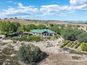A large house with a green roof surrounded by a vineyard and hilly terrain. - 40 Acres + Home Office + Views | Paso Robles | Skyeranch-30 Day Rental (San Miguel)