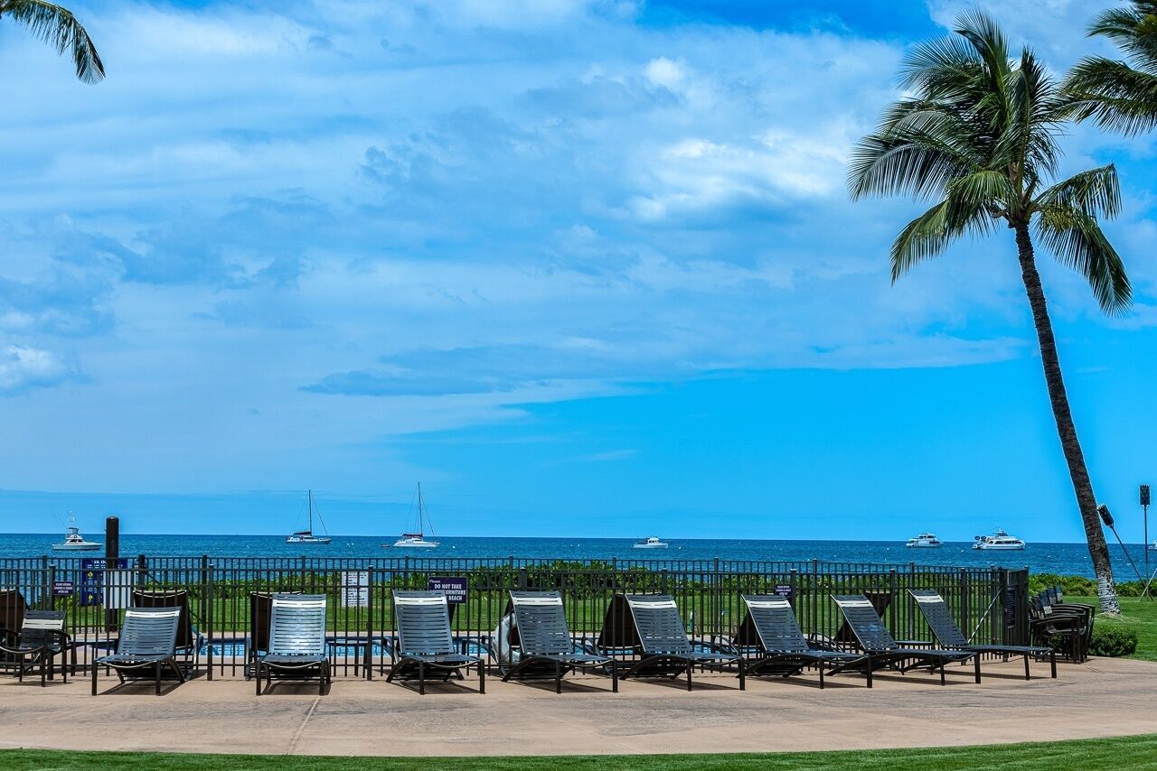 A beachside lounge with rows of sun loungers facing the ocean, a palm tree, and a clear view of the sea with boats.