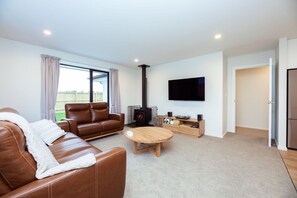 TV connectée, cheminée, livres