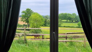 Une vue à travers une fenêtre avec des rideaux, donnant sur une clôture en bois, un arbre et un champ.