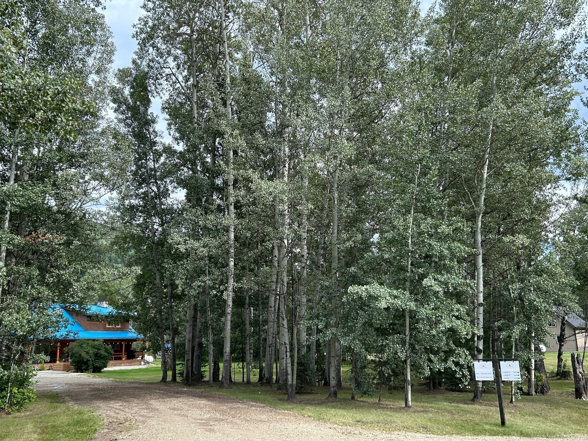 高级木屋, 山景 | 住宿场地