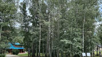 Superior Chalet, Mountain View | Property grounds