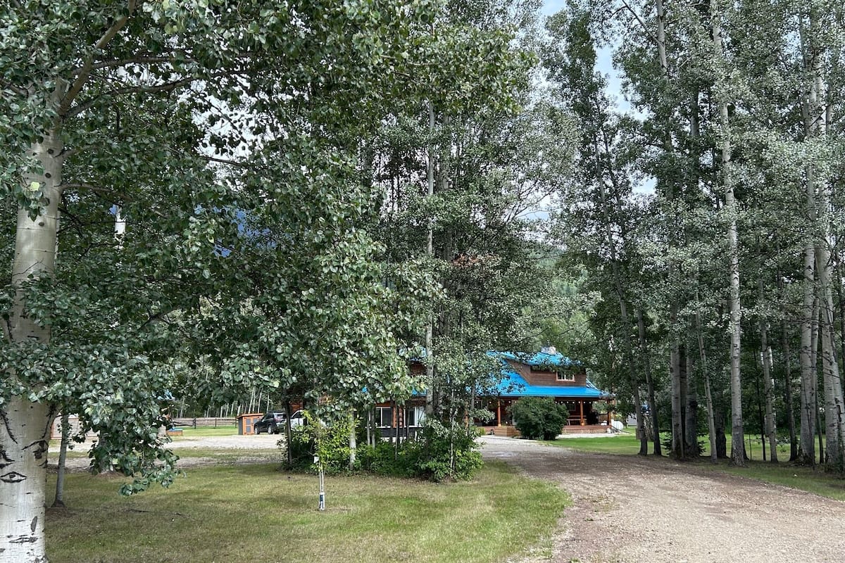 A rustic cabin with a blue roof, surrounded by tall trees and a gravel path leading to it.