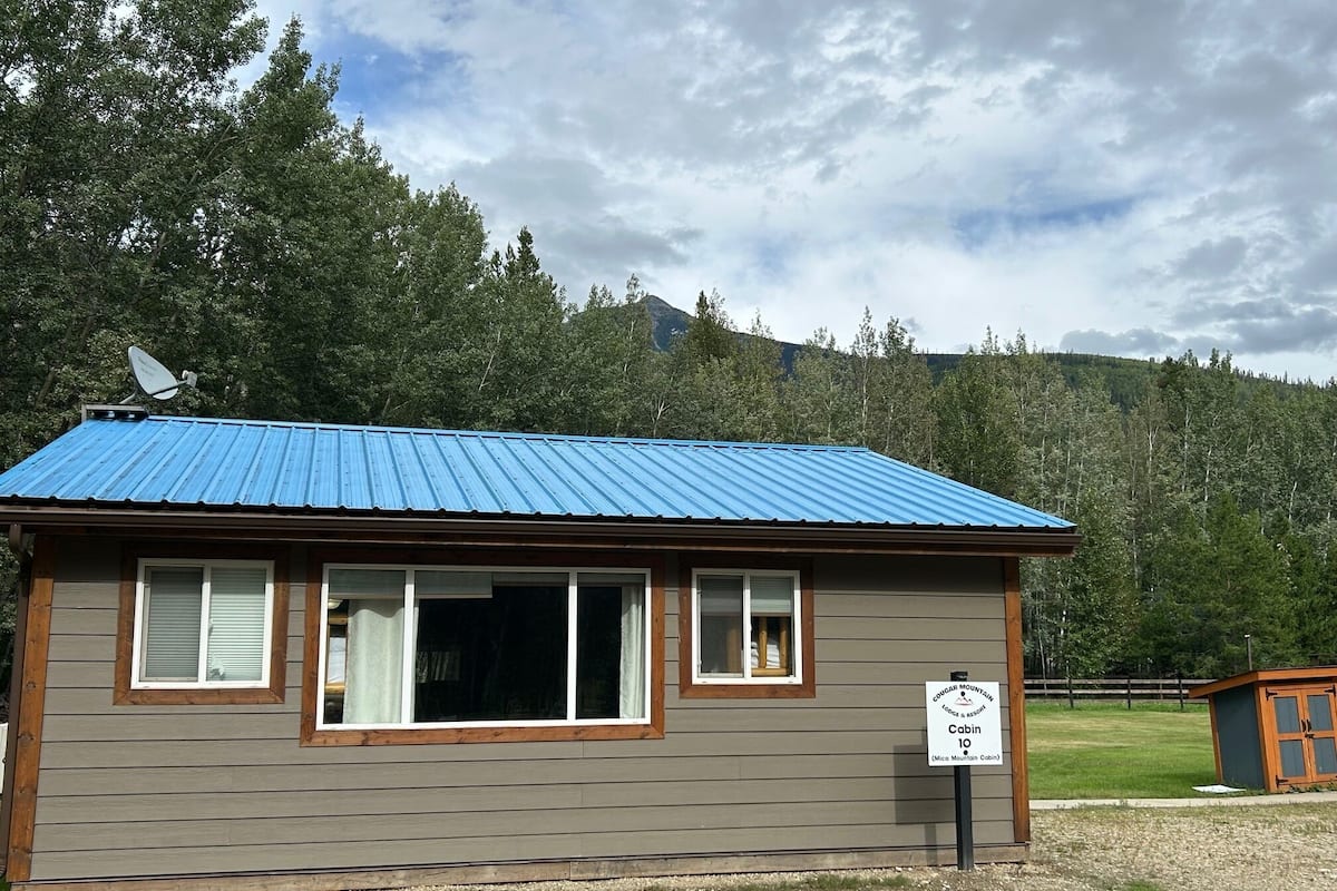 A cabin with a blue roof, wooden walls, and a sign indicating it is a 'Cougar Mountain Lodge & Resort Cabin 10'.