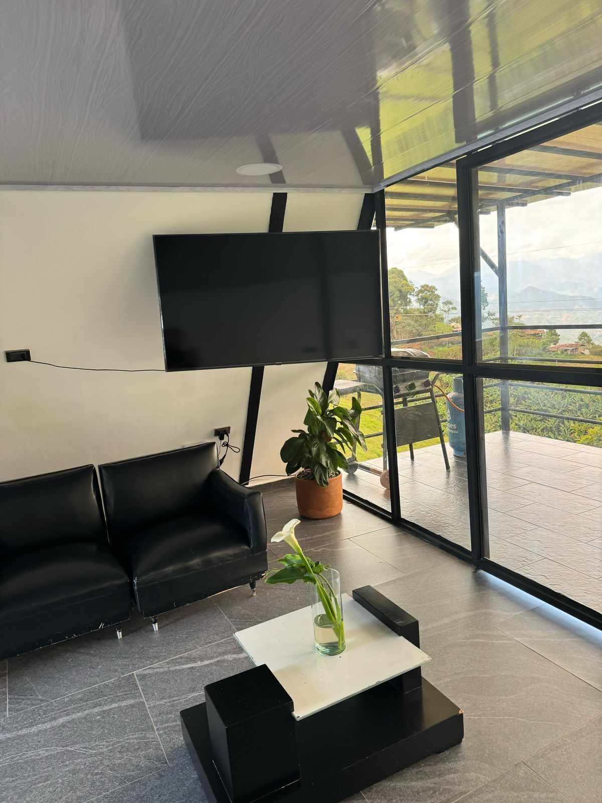 Un salon moderne avec un canapé en cuir noir, un téléviseur à écran plat fixé au mur, une plante en pot et une table basse.