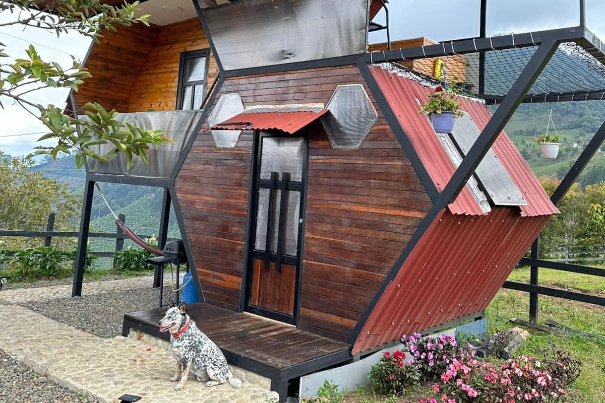 Una estructura de madera hexagonal con techo inclinado, un pequeño porche y un perro.