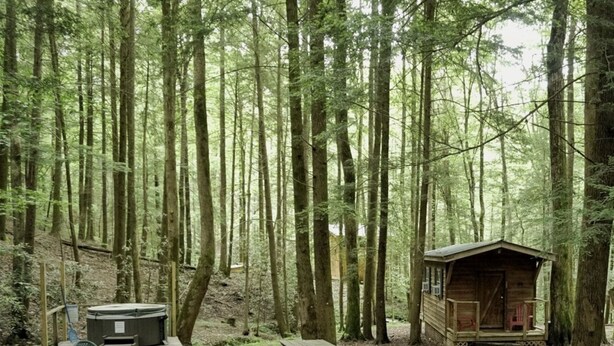 A forest cabin with a picnic table and a hot tub.