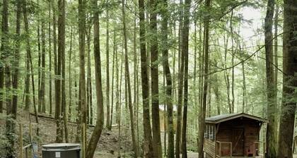 PINHOTI WAY Private Solo Cabin at Mulberry Gap - Right on the Pinhoti Trail!