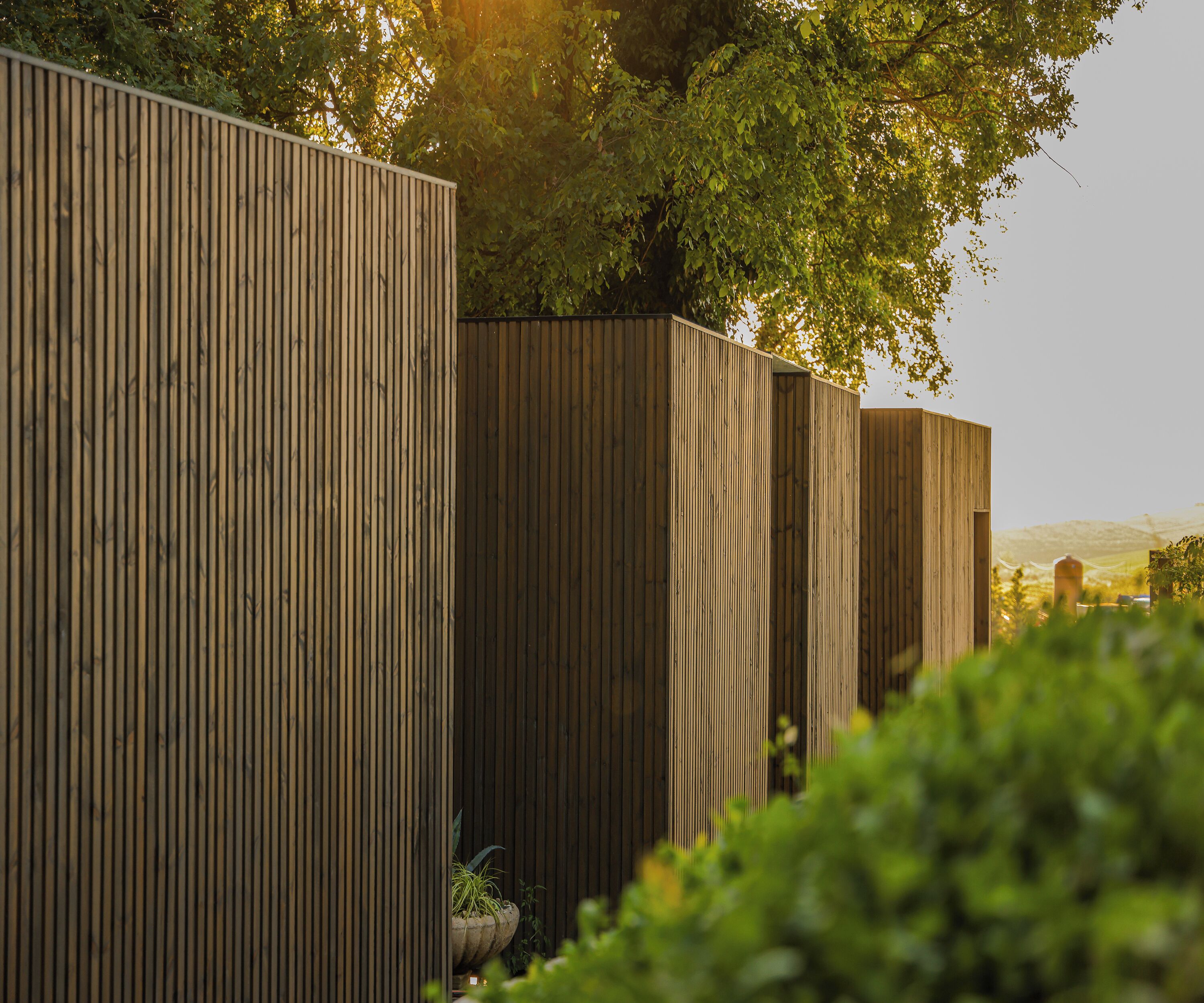 A row of vertical wooden fences with a tree and greenery in the background.