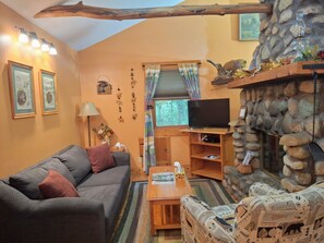 Fireplace, DVD player