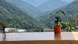 Une vue depuis un balcon, avec une table en bois, une plante en pot et un vase de fleurs.
