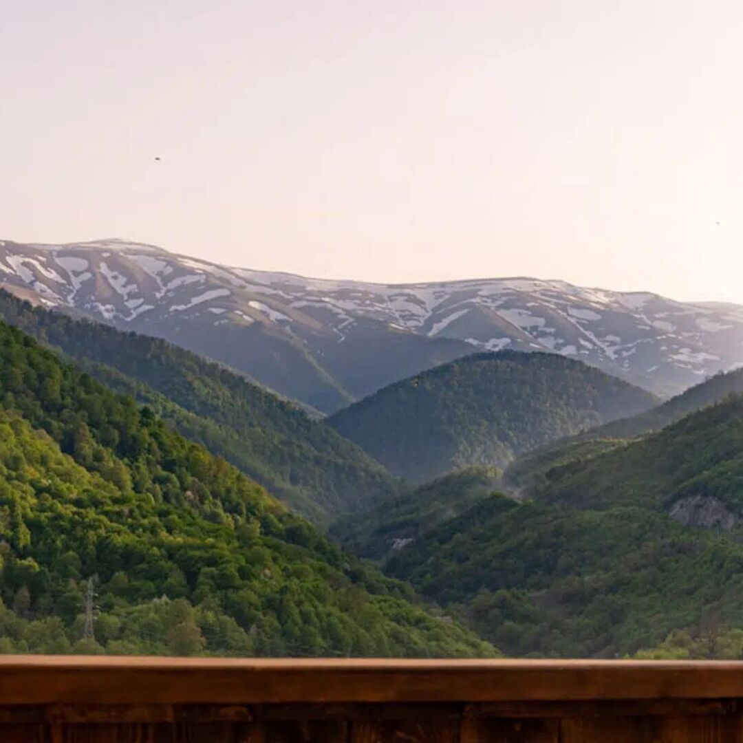 A mountainous landscape with dense forests and snow-capped peaks.