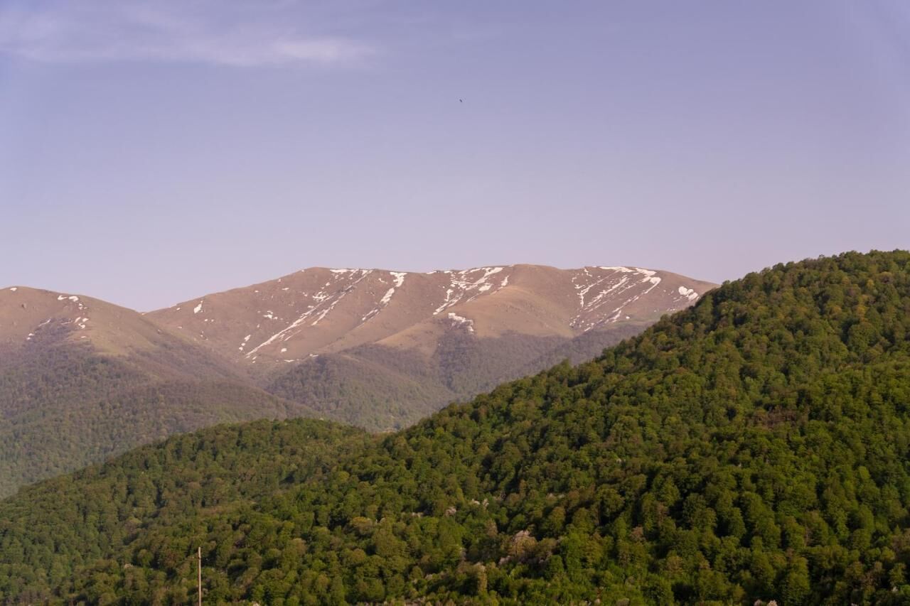 Un paysage montagneux caractérisé par des collines densément boisées et, au loin, des sommets enneigés.