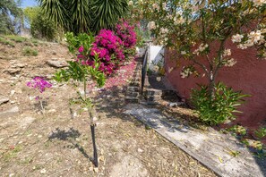 House | Garden