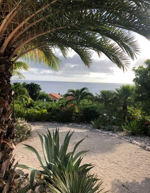 Un jardin avec un chemin de gravier, des palmiers et une vue sur la mer.