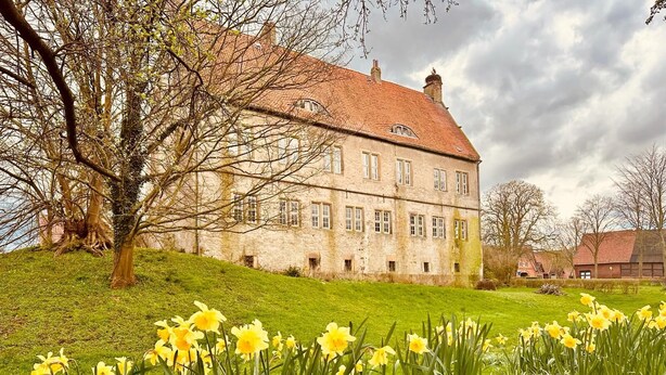 A stone building with a red-tiled roof, surrounded by a grassy area with daffodils. - Apartment in medieval castle from the 14th century on the Weser cycle path (Petershagen)