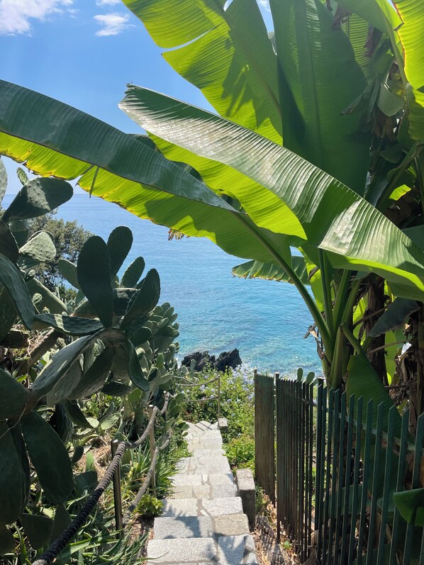 Property grounds - Welcome to your Seaside Home (Varazze)