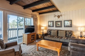TV, fireplace, offices