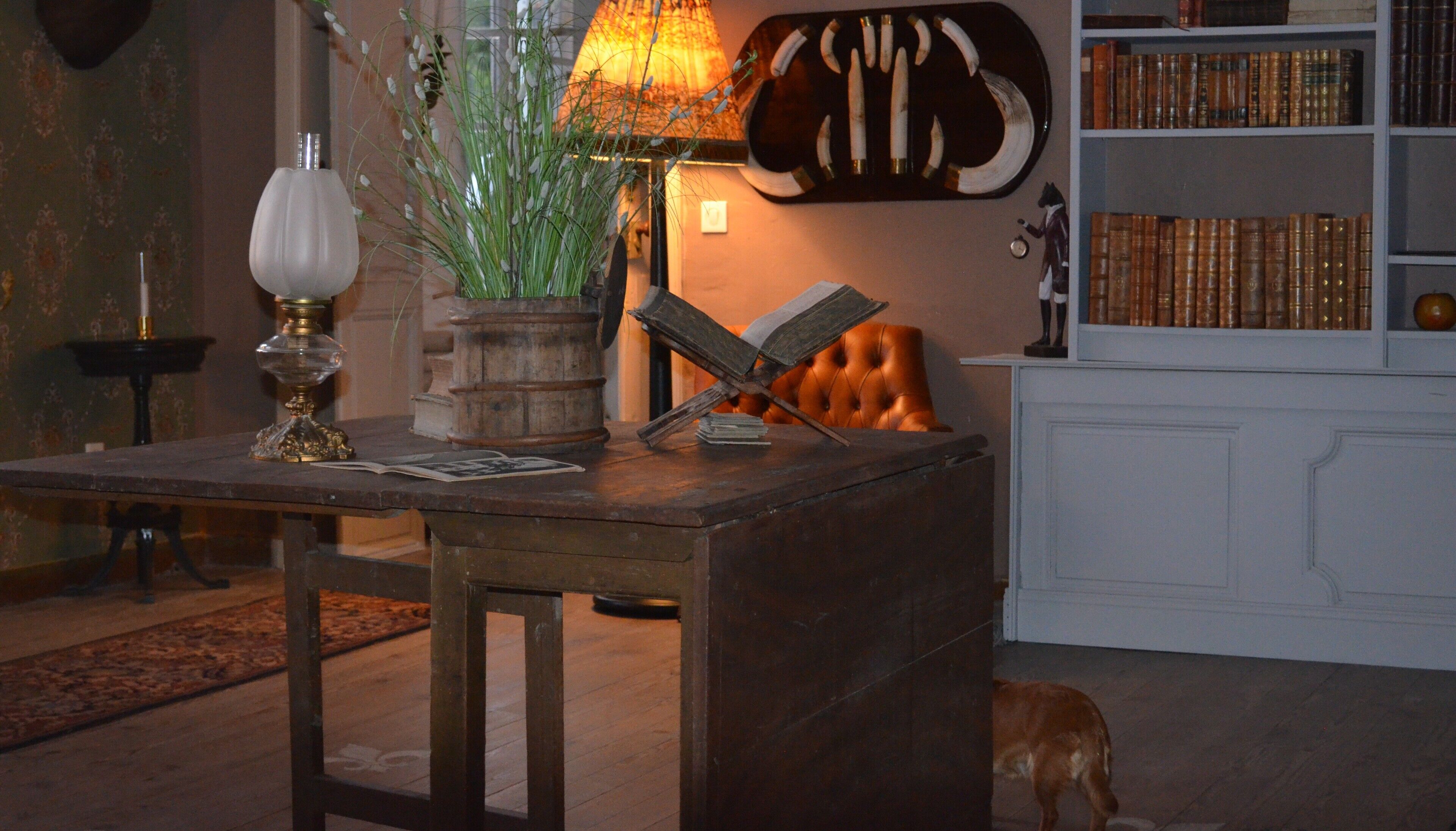 Eine gemütliche Leseecke mit Holztisch, Lampe, Topfpflanze und Ledersessel.