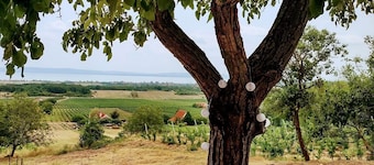 Charming old wineyard house( renov.) for long term rent with superb Balaton view