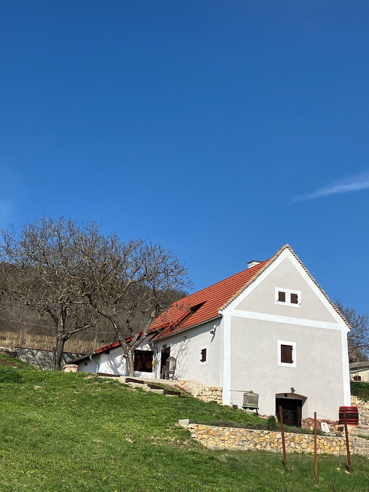 Bild für Gastgeberprofil