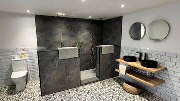 Shower, hair dryer, towels